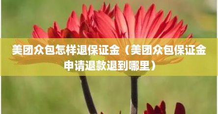 美团众包怎样退保证金（美团众包保证金申请退款退到哪里）