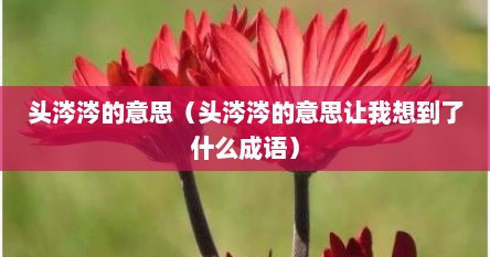 头涔涔这个词语想到了哪些成语（头涔涔在字典里是什么意思）