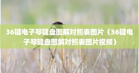 36键电子琴键盘手法（36键电子琴键位图双手指法）