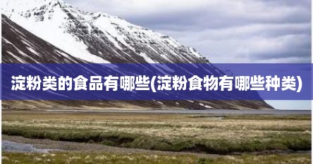 淀粉类的食品有哪些(淀粉食物有哪些种类)