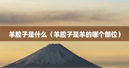 羊腔子是什么（羊腔子是羊的哪个部位）