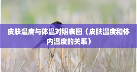 皮肤温度与体温对照表图（皮肤温度和体内温度的关系）