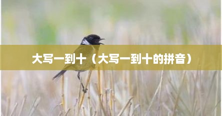 大写一到十（大写一到十的拼音）