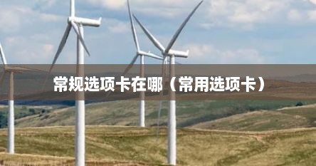 常规选项卡在哪（常用选项卡）