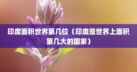 印度面积世界第几位（印度是世界上面积第几大的国家）