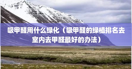 吸甲醛用什么绿化（吸甲醛的绿植排名去室内去甲醛最好的办法）