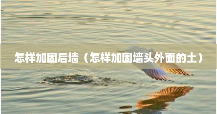 怎样加固后墙（怎样加固墙头外面的土）