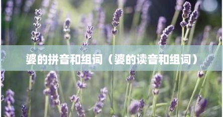 婆的拼音和组词（婆的读音和组词）
