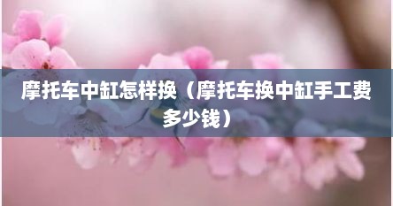 摩托车中缸怎样换（摩托车换中缸手工费多少钱）