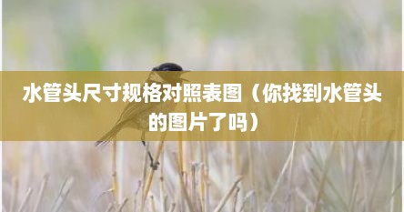 水管头尺寸规格对照表图（你找到水管头的图片了吗）