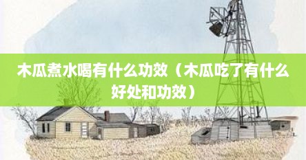 木瓜煮水喝有什么功效（木瓜吃了有什么好处和功效）