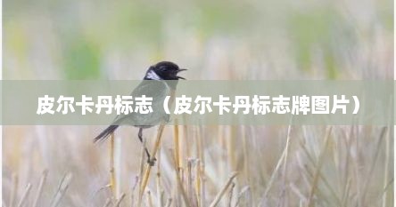 皮尔卡丹标志（皮尔卡丹标志牌图片）