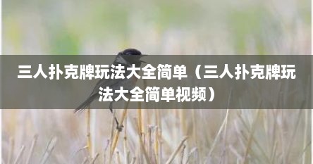 三人扑克牌玩法规则详解（三人扑克牌玩法教学视频）