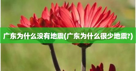 广东为什么没有地震(广东为什么很少地震?)