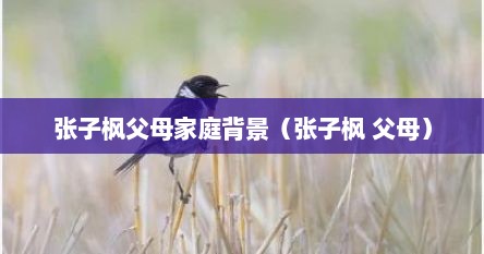 张子枫父母家庭背景（张子枫 父母）