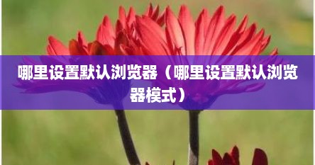 哪里设置默认浏览器（哪里设置默认浏览器模式）