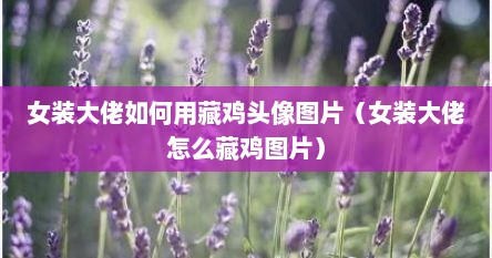 女装大佬如何用藏鸡头像图片（女装大佬怎么藏鸡图片）