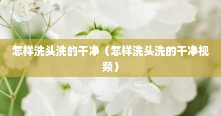 怎样洗头洗的干净（怎样洗头洗的干净视频）