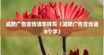 减肥广告宣传语怎样写（减肥广告宣传语8个字）