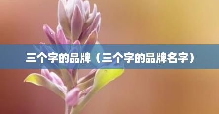 三个字的品牌（三个字的品牌名字）