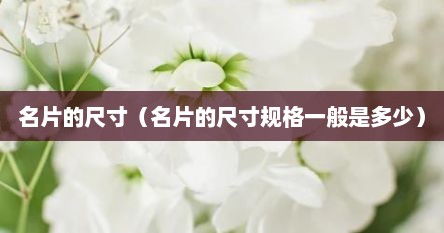 名片的尺寸（名片的尺寸规格一般是多少）