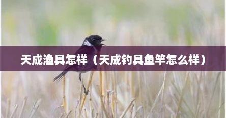 天成渔具怎样（天成钓具鱼竿怎么样）
