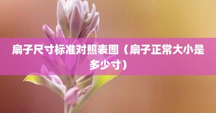 扇子尺寸标准对照表图（扇子正常大小是多少寸）