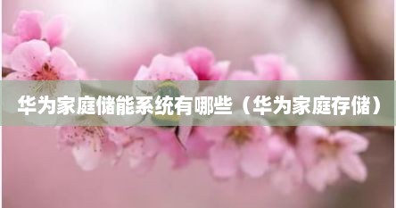 华为家庭储能系统有哪些（华为家庭存储）
