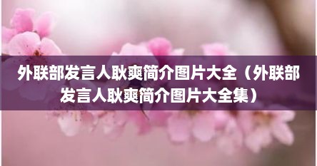 外联部发言人耿爽简介图片大全（外联部发言人耿爽简介图片大全集）