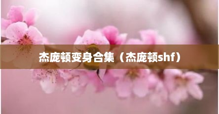 杰庞顿变身合集（杰庞顿shf）