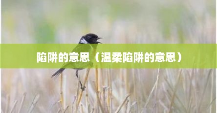 陷阱的意思（温柔陷阱的意思）