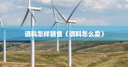 调料怎样销售（调料怎么卖）