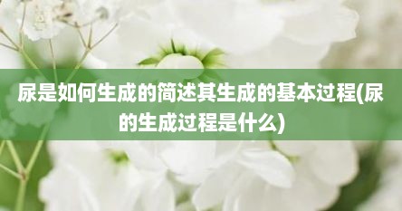 尿是如何生成的简述其生成的基本过程(尿的生成过程是什么)