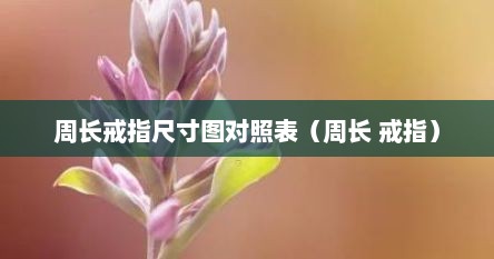 周长戒指尺寸图对照表（周长 戒指）