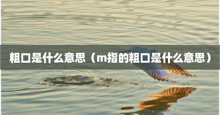 粗口是什么意思（m指的粗口是什么意思）