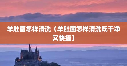羊肚菌怎样清洗（羊肚菌怎样清洗既干净又快捷）
