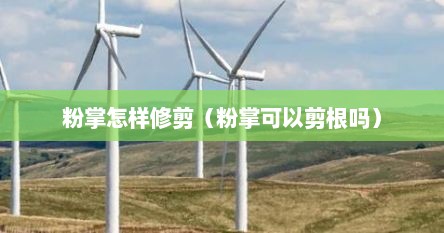 粉掌怎样修剪（粉掌可以剪根吗）