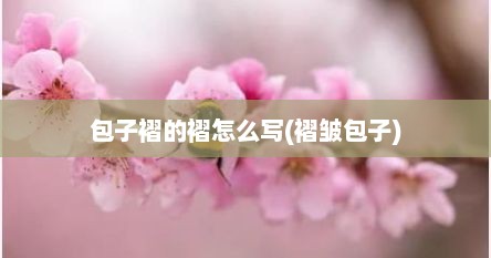包子褶的褶怎么写(褶皱包子)