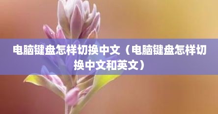 电脑键盘怎样切换中文（电脑键盘怎样切换中文和英文）