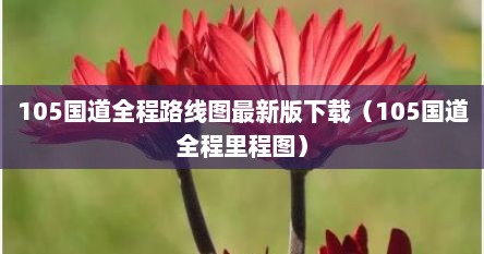 105国道终点在哪里（105国道全程线路图高清）