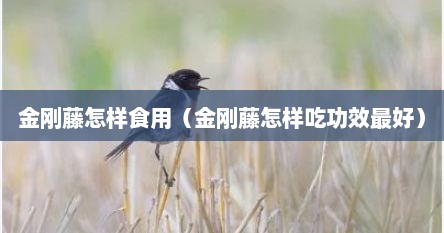 金刚藤怎样食用（金刚藤怎样吃功效最好）