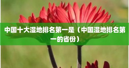 中国十大湿地排名第一是（中国湿地排名第一的省份）