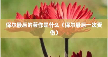 保尔最后结局怎么样了（保尔最后写成的小说）