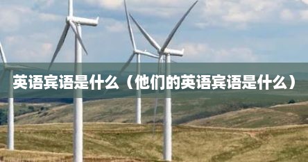 英语宾语是什么（他们的英语宾语是什么）