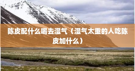 陈皮与什么泡水喝去湿气（陈皮配什么煮水喝去湿气）