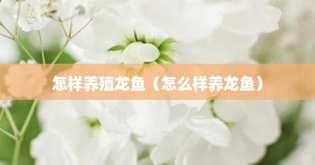 怎样养殖龙鱼（怎么样养龙鱼）