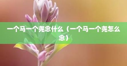 一个马一个尧念什么（一个马一个尧怎么念）