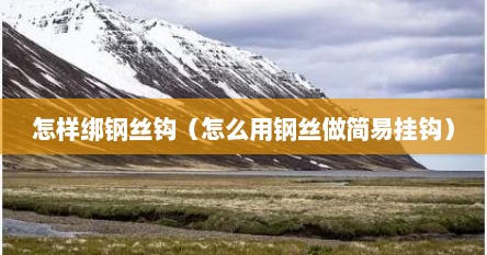 怎样绑钢丝钩（怎么用钢丝做简易挂钩）
