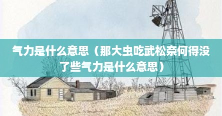气力是什么意思（那大虫吃武松奈何得没了些气力是什么意思）