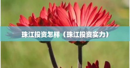珠江投资怎样（珠江投资实力）
